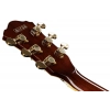 Електрогітара Ibanez AG95K-NT