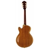 Електрогітара Ibanez AG95K-NT