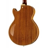 Електрогітара Ibanez AG95K-NT
