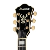 Електрогітара Ibanez AG95K-NT