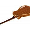 Електрогітара Ibanez AG95K-NT
