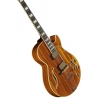 Електрогітара Ibanez AG95K-NT