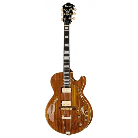 Електрогітара Ibanez AG95K-NT