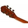 Електрогітара Ibanez AG95MG-DA