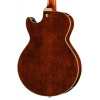 Електрогітара Ibanez AG95MG-DA