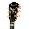 Електрогітара Ibanez AG95MG-DA