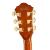 Електрогітара Ibanez AG95MG-DA