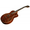 Електрогітара Ibanez AG95MG-DA