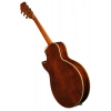 Електрогітара Ibanez AG95MG-DA