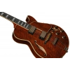 Електрогітара Ibanez AG95MG-DA