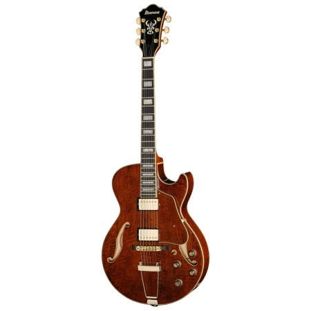 Електрогітара Ibanez AG95MG-DA