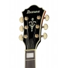 Электрогитара Ibanez AG95QA-DBS