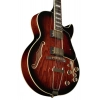 Электрогитара Ibanez AG95QA-DBS