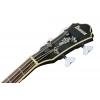 Бас-гітара Ibanez AGB200-BKF Semi Hollow