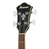Бас-гітара Ibanez AGB200-BKF Semi Hollow