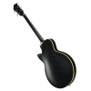 Бас-гітара Ibanez AGB200-BKF Semi Hollow