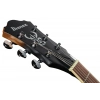 Електрогітара Ibanez AS53-TF