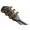Електрогітара Ibanez AS73 G BKF