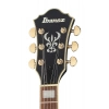 Електрогітара Ibanez AS73 G BKF