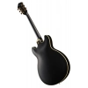 Електрогітара Ibanez AS73 G BKF