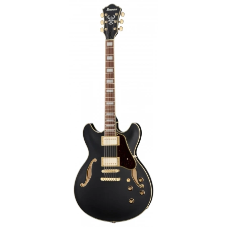 Електрогітара Ibanez AS73 G BKF