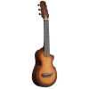 Класична гітара Ibanez AUP10N-OLB