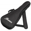 Класична гітара Ibanez AUP10N-OLB