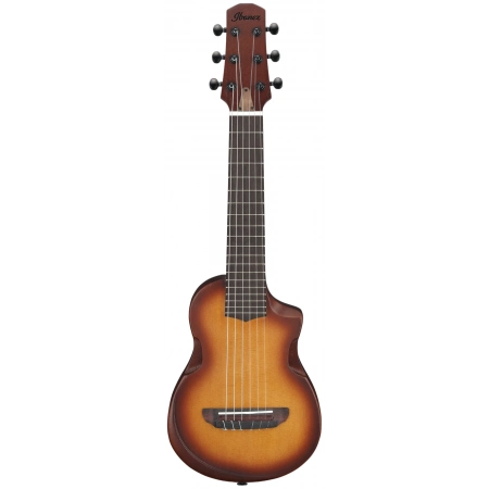 Класична гітара Ibanez AUP10N-OLB