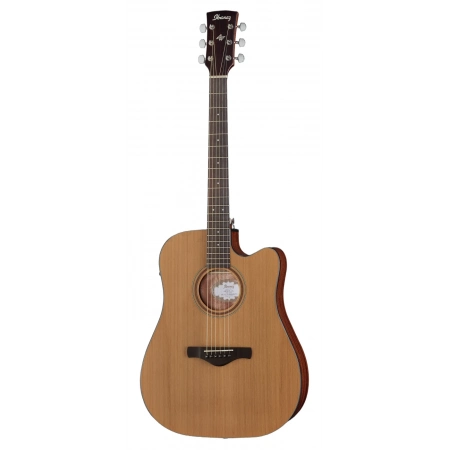 Акустична гітара Ibanez AW65ECE-LG