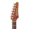 Електрогітара Ibanez AZ2204NW-DTB