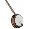 Банджо Ibanez B200