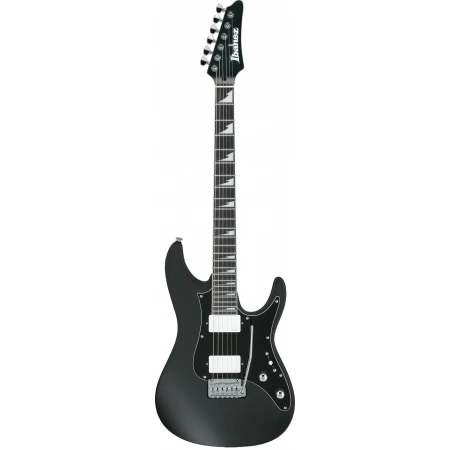 Електрогітара Ibanez BER10 Bernth Signature BK