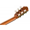 Классическая гитара Ibanez FRH10N-BSF
