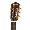 Классическая гитара Ibanez FRH10N-BSF