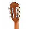Классическая гитара Ibanez FRH10N-BSF