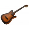 Классическая гитара Ibanez FRH10N-BSF