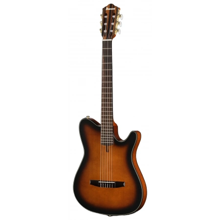 Классическая гитара Ibanez FRH10N-BSF