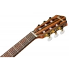 Класична гітара Ibanez FRH10N-NTF