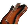 Класична гітара Ibanez FRH10NL-BSF LH