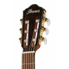 Класична гітара Ibanez FRH10NL-BSF LH