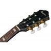 Класична гітара Ibanez FRH20FMN-DGL