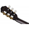Класична гітара Ibanez FRH20FMN-DGL