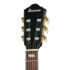 Класична гітара Ibanez FRH20FMN-DGL