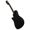 Класична гітара Ibanez FRH20FMN-DGL