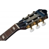 Классическая гитара Ibanez FRH20QMN-CTL