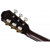 Классическая гитара Ibanez FRH20QMN-CTL