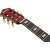 Классическая гитара Ibanez FRH20QMN-WRL