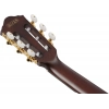 Классическая гитара Ibanez FRH20QMN-WRL