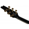 Електрогітара Ibanez FRM350-BK Paul Gilbert
