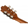 Классическая гитара Ibanez GA1-OAM